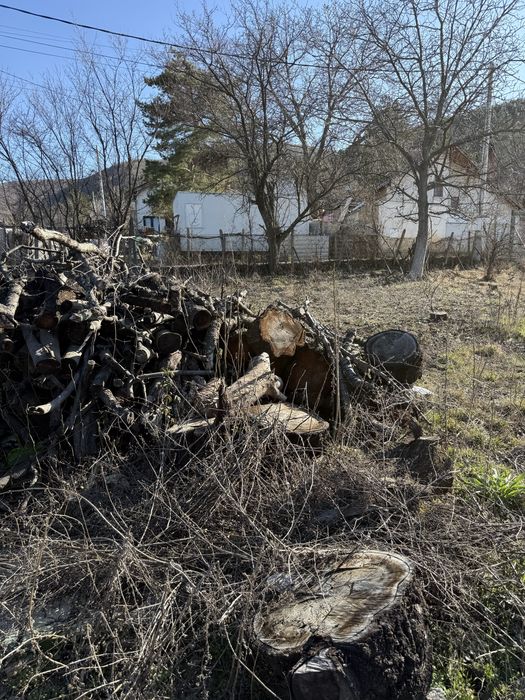 Дърва и клони за огрев 6-8 м2