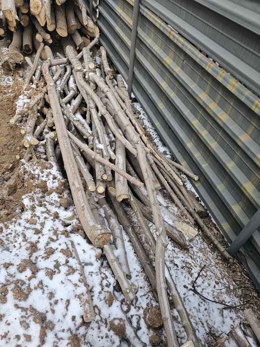 Дрова бревна клен карагач