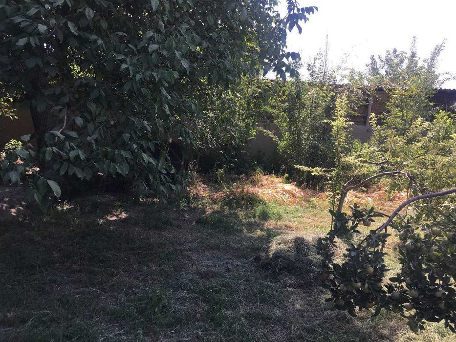 Участок. СРОЧНО!!!