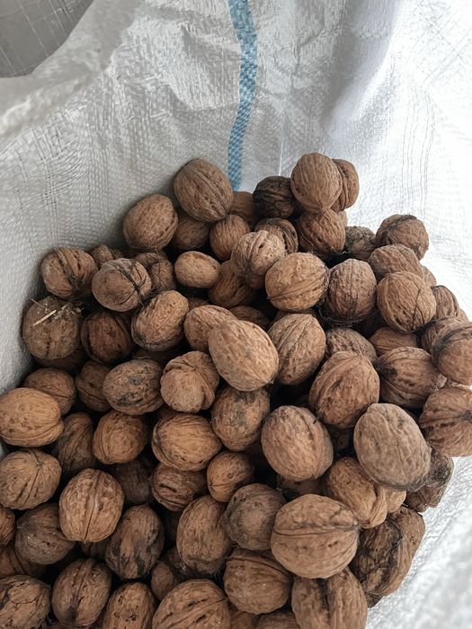 Nuci din sezon mari