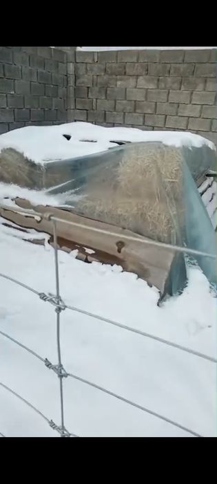 Сабан прес. Сатылады 30-35 штук