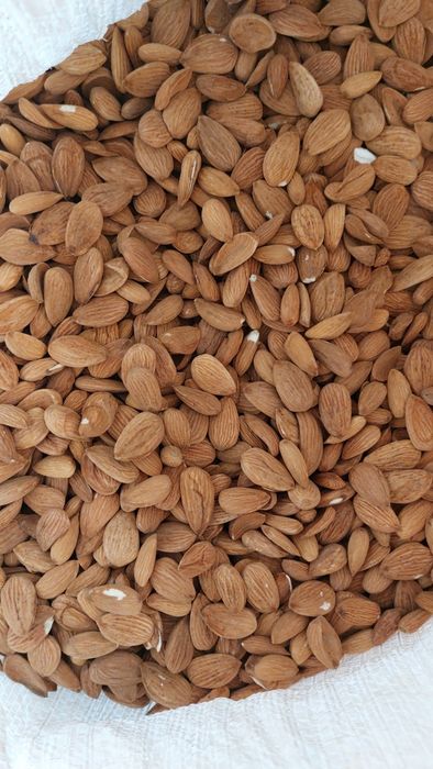 Сурови ядки - бадеми, орехи, лешници