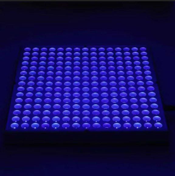 Fotolama chaqaloqlar uchun 100 % garantiyasi bn bonuslayam bor