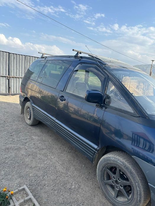 Эстима Эмина 1995