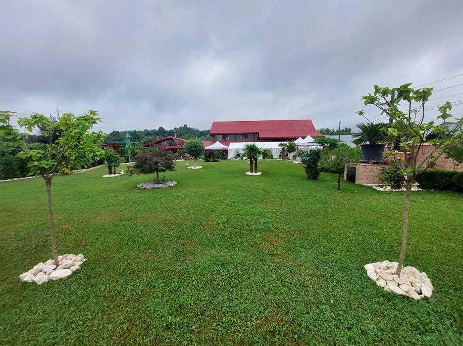 Soluții Verzi pentru Grădină – Gazon de Calitate și Montaj pe Loc