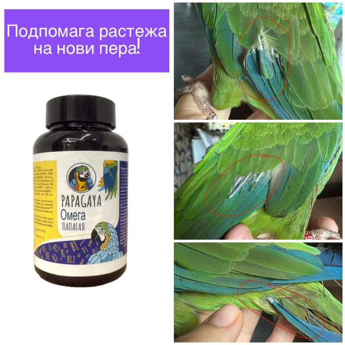 Добавка за здраво оперение за папагал / начупени пера OMEGA PAPAGAYA