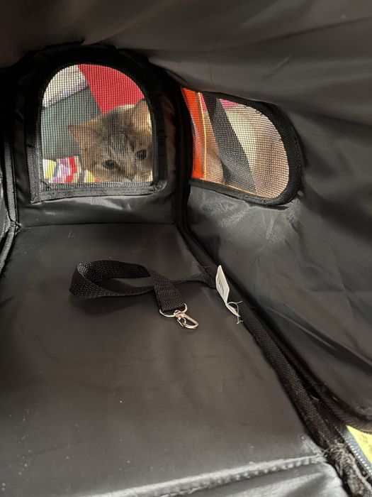 Geanta transport animale talie mica