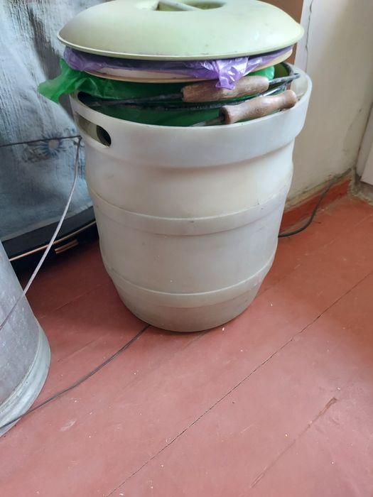 Продаю японский молочный грибок