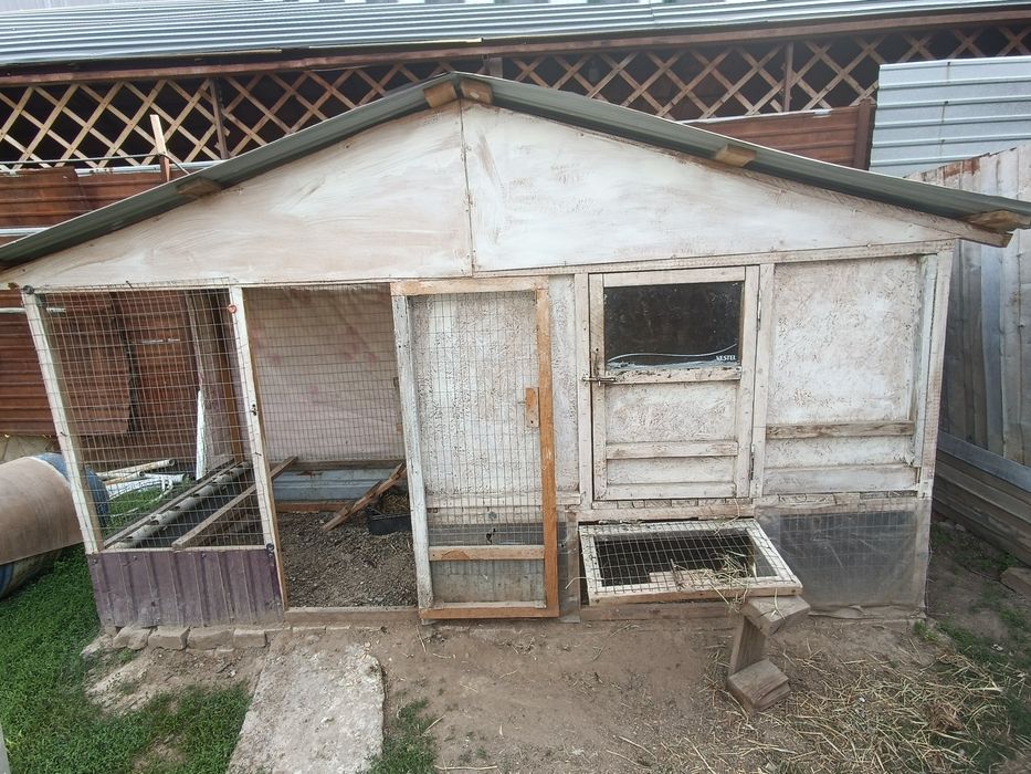 продам куриц с курятником