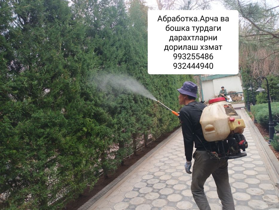 Арча кесиш ва дорилаш хизмати