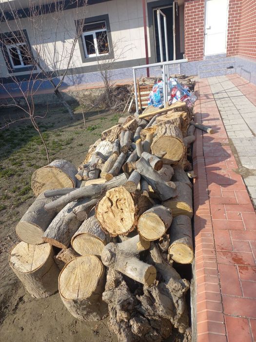 Утин анча бор, хаммаси кесиб тахланган.