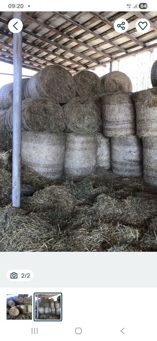 De vânzare baloti fan