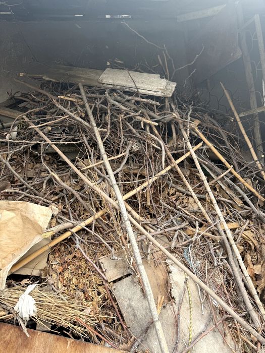 Toshkentda turli navdagi o‘tin va yog‘ochlarni zudlik bilan sotaman