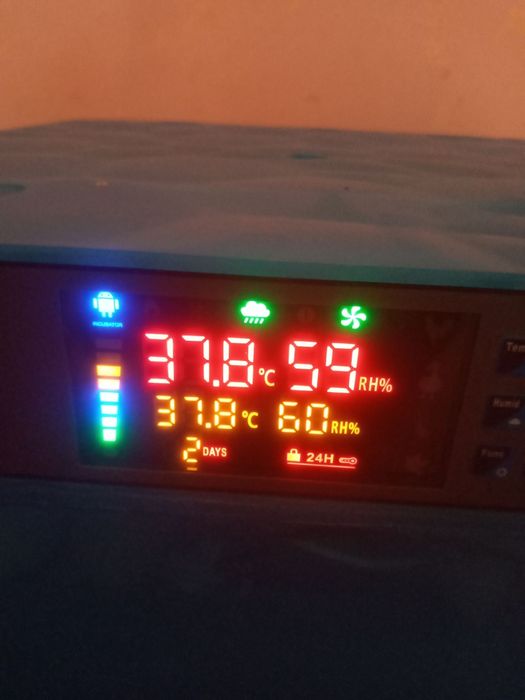 Инкубатор сотилади