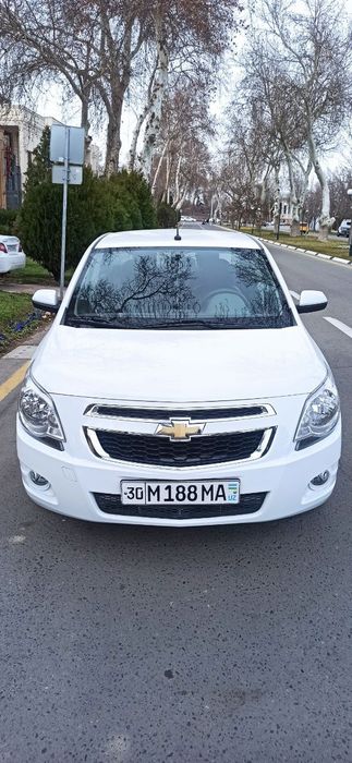 Кобольт белый 2021г.