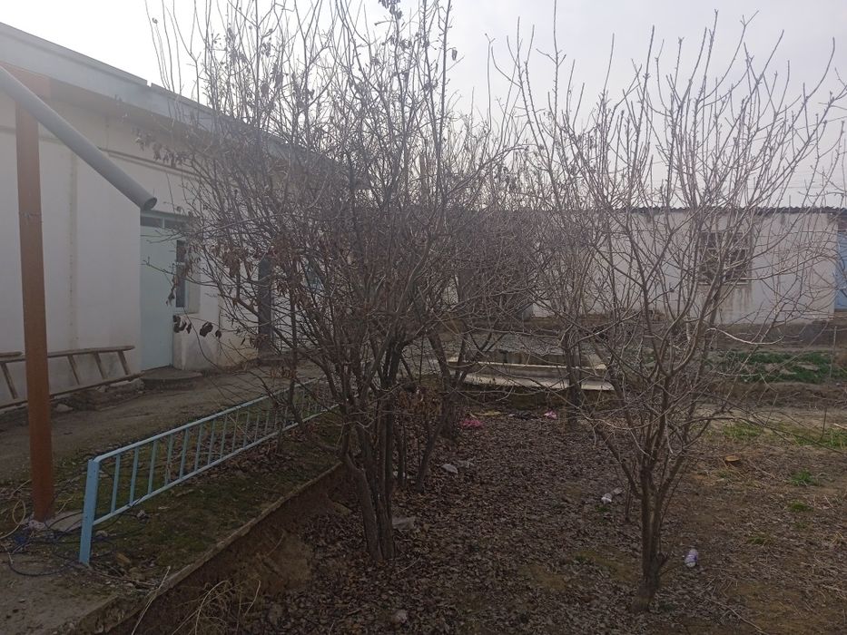 Нархини келишамиз Ховли 16 суток сотилади  Самарканд Вилояти Нарпай Ту