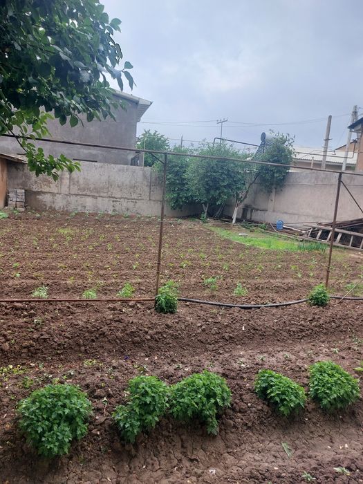 Yer sotiladi Продаётся земля 3.9сот