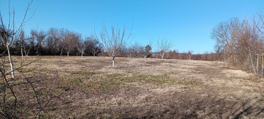 Продава се Земеделски имот в Търговище, Център -  кв.м за 1403 €/дка - Снимка #3