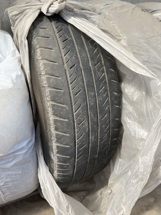 Dunlop лето  R18
