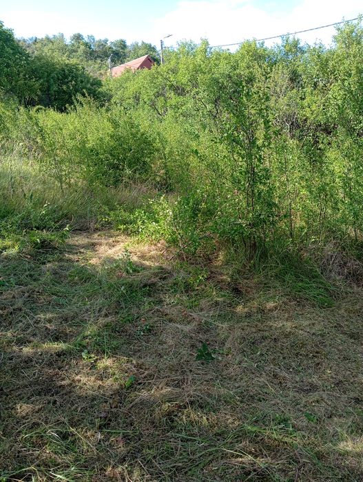 Executam defrișări, toaletări copaci,cosit iarba.Realizam debarasări