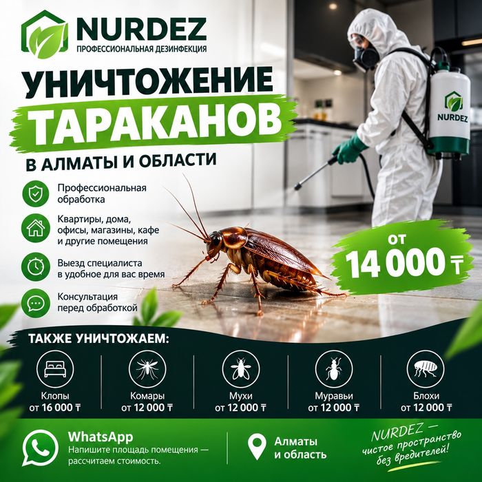 Уничтожение тараканов в Алматы | NURDEZ | от 14 000 ₸