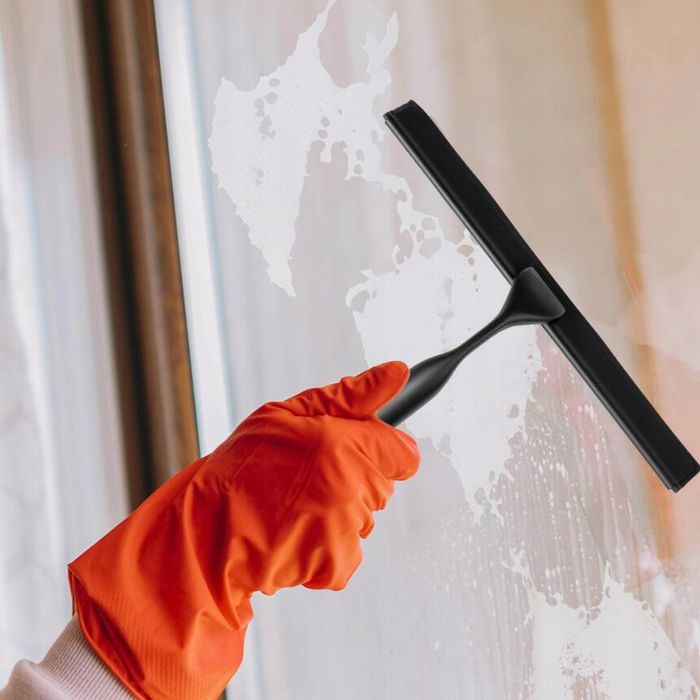 Racleta pentru geam cabina de dus, cu maner din inox, negru, Sepio