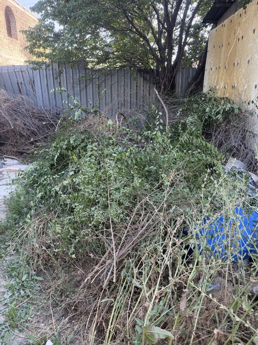 Дрова бесплатно самовывоз