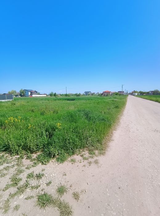 Vrei liniște și aer curat? Terenuri ideale pentru casă în Cosoba