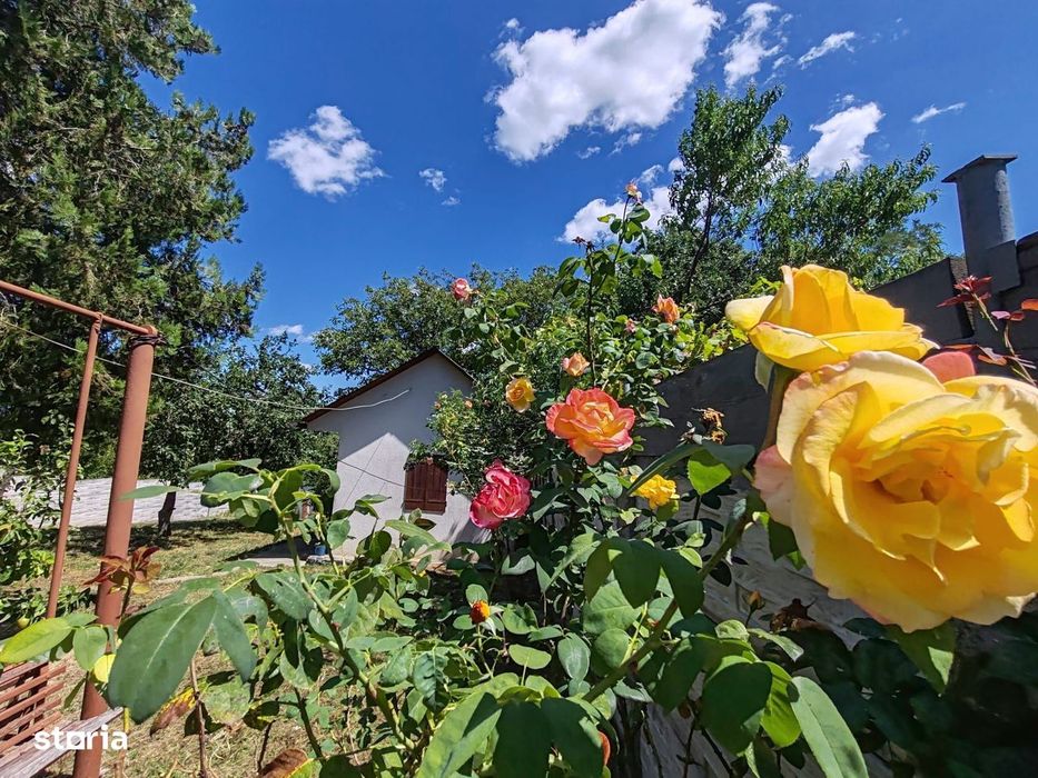 Casa si gradina-95000euro-Picioru Lupului-Comuna Ciurea