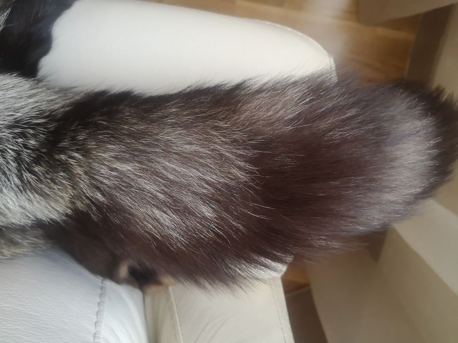 Blana vulpe polara neagra deosebita