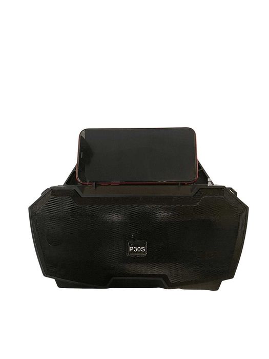 Преносима тонколона със соларен панел и радио P30S