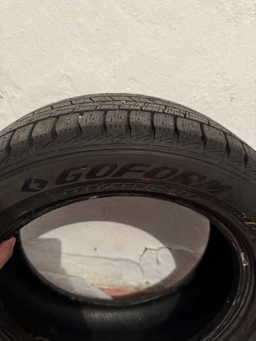 GOFORM зима 225/55/17