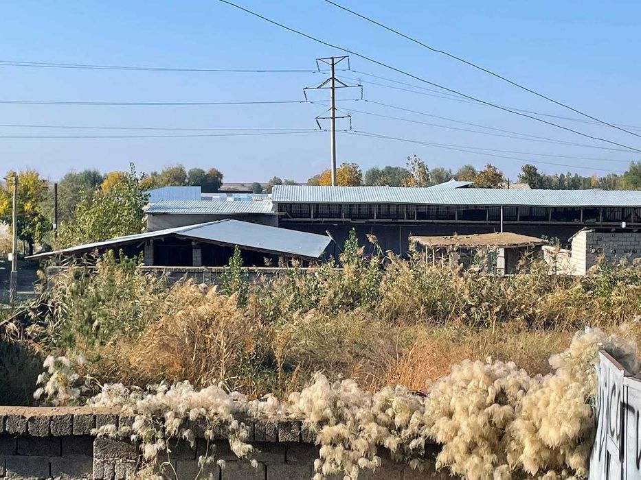 textil dachniyda ferma