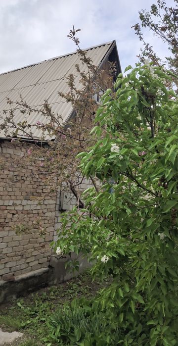 Продам дачу на шайкоргане