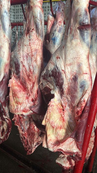 Мясо говядины баранины и конины