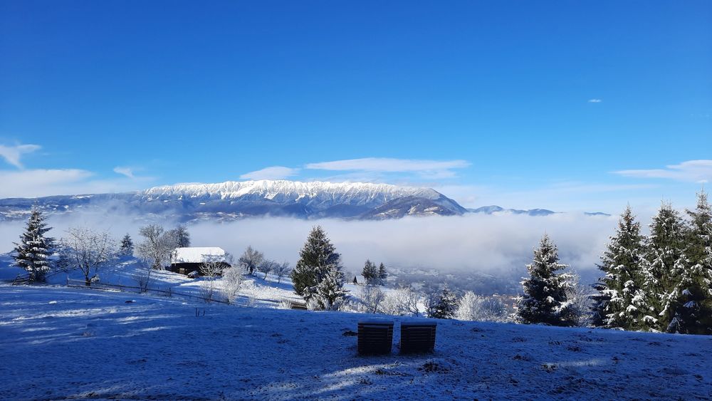 Cabană la munte Bran