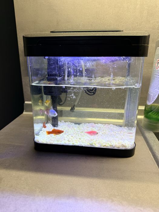 Продавам аквариум с вграден филтър и лампа