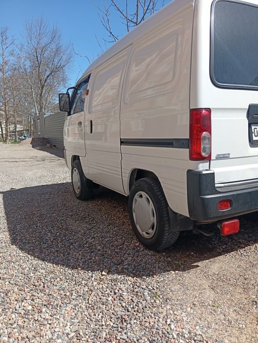 -Damas D11 Oq Belo Dimchatiy