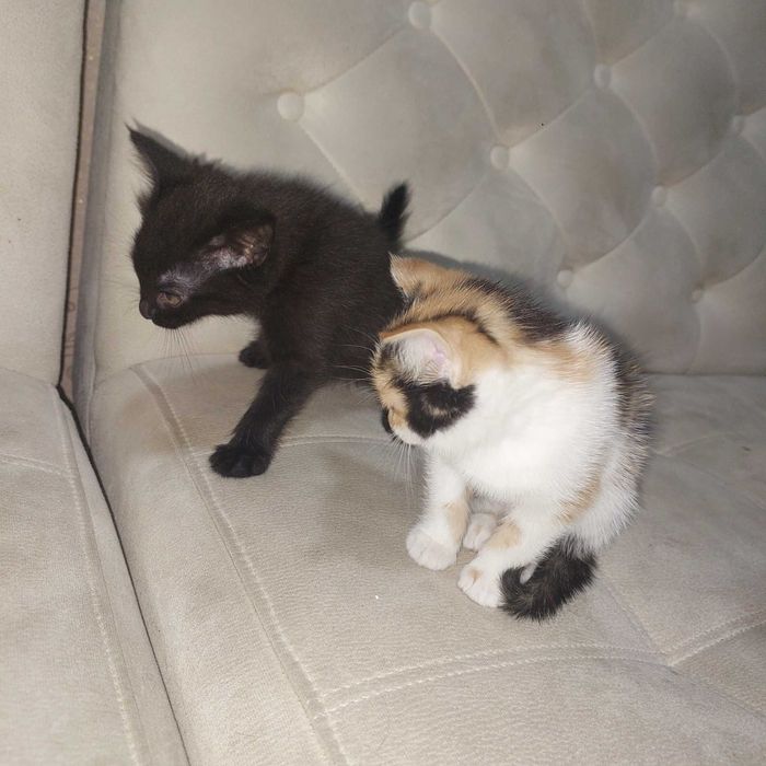 Катенка, 1;5 месяцев