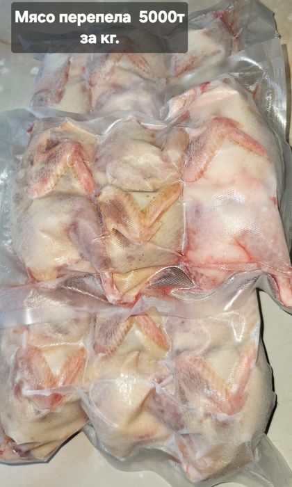 Продам Мясо перепела