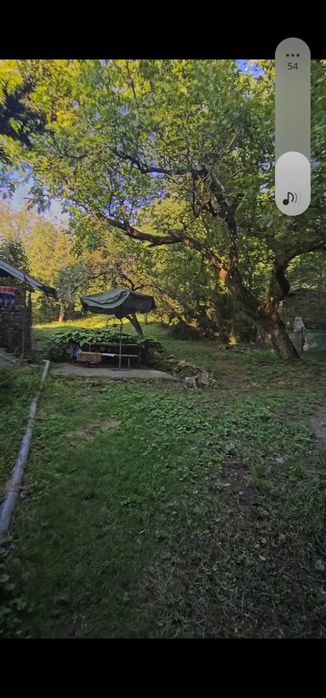 Casă cu teren. Săvârșin, Arad