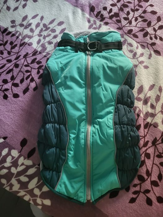 Haine caini diferite marimi