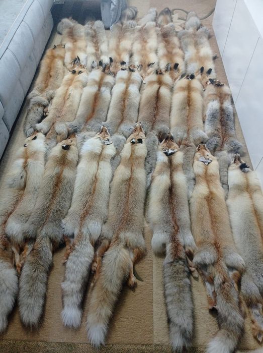 Мех  лисы натуральный.