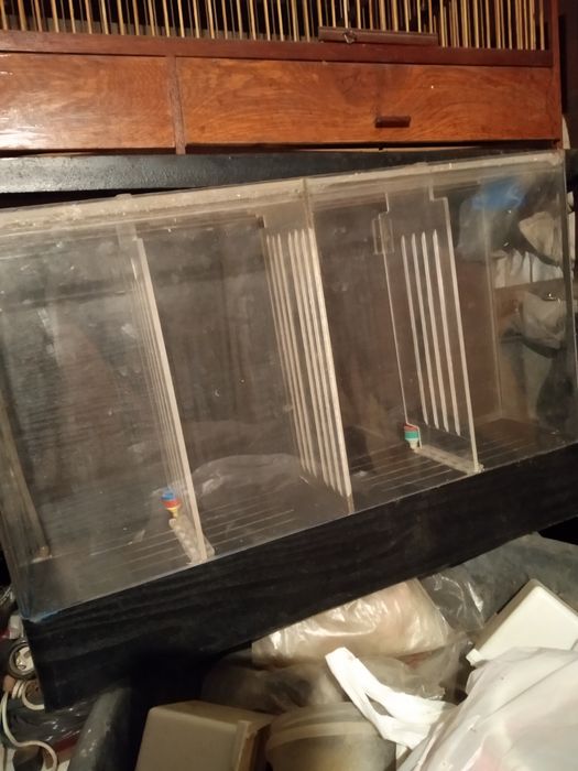 Подам разноски для рыбок