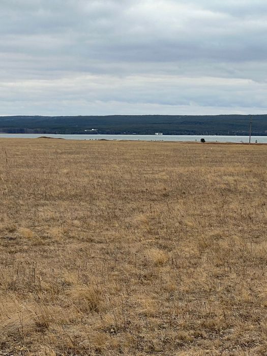 участок 42 соток