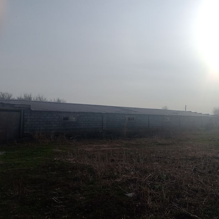 Продам базу для откорма скота