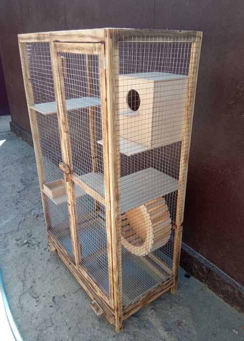 Клетка для белки, белок, белочек