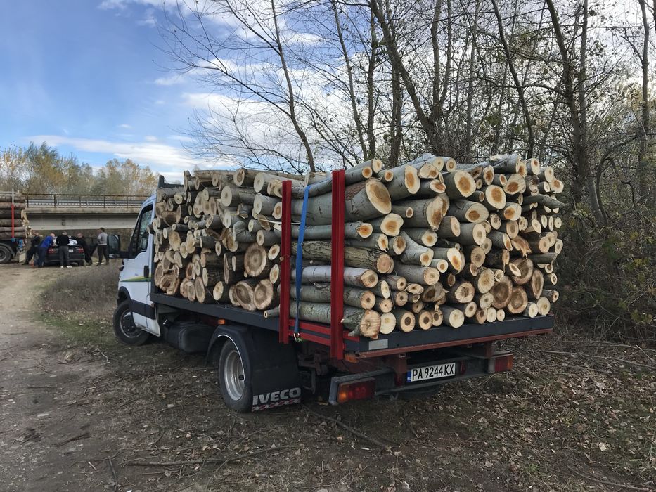 Дърва Кавак 40 evro