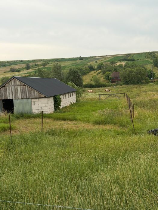Vand teren intravilan in crasna marin jud salaj