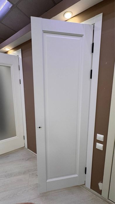 Двери (только полотно)